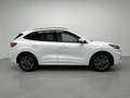 Ford Kuga 1.5 EcoBlue ST-Line FWD 120 Wit - thumbnail 3