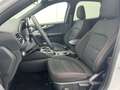 Ford Kuga 1.5 EcoBlue ST-Line FWD 120 Wit - thumbnail 24