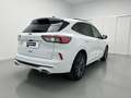 Ford Kuga 1.5 EcoBlue ST-Line FWD 120 Wit - thumbnail 2