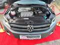 Volkswagen Tiguan Track & Field 4Motion/Automatik/Klima/AHK Grau - thumbnail 19