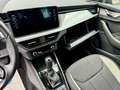 Skoda Kamiq Kamiq 1.6 TDI DSG Style Grau - thumbnail 13