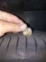 Fiat 500C 500 C 1.2 8V 60th Anniversary Rot - thumbnail 15