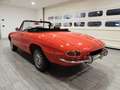 Alfa Romeo Spider 1750 VELOCE TIPO 105.62 - ASI CRS- TARGA ORO(1969) Rosso - thumbnail 3