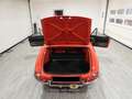Alfa Romeo Spider 1750 VELOCE TIPO 105.62 - ASI CRS- TARGA ORO(1969) Rosso - thumbnail 13