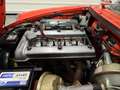 Alfa Romeo Spider 1750 VELOCE TIPO 105.62 - ASI CRS- TARGA ORO(1969) Rosso - thumbnail 9