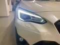 Subaru XV 1.6i Style lineartronic Blanc - thumbnail 10