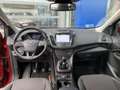 Ford Kuga 1.5 EcoBoost Titanium | Camera | Keyless Entry | A Rood - thumbnail 2