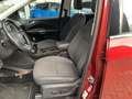 Ford Kuga 1.5 EcoBoost Titanium | Camera | Keyless Entry | A Rood - thumbnail 10