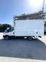 Iveco Daily 35S14 METANO FURGONATO Km 37.000 Blanc - thumbnail 5