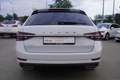 Skoda Superb Combi 2.0 L&K 4x4 DSG LED Navi ACC AHK Bianco - thumbnail 4
