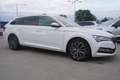 Skoda Superb Combi 2.0 L&K 4x4 DSG LED Navi ACC AHK Bianco - thumbnail 6