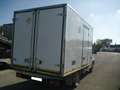 Iveco Daily FRIGORIFERO 35C13 ISOTERMICO CON CELLA FRIGO Bianco - thumbnail 4