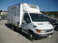 Iveco Daily FRIGORIFERO 35C13 ISOTERMICO CON CELLA FRIGO Bianco - thumbnail 6