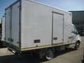 Iveco Daily FRIGORIFERO 35C13 ISOTERMICO CON CELLA FRIGO Bianco - thumbnail 5