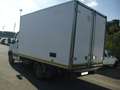 Iveco Daily FRIGORIFERO 35C13 ISOTERMICO CON CELLA FRIGO Bianco - thumbnail 3