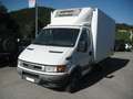 Iveco Daily FRIGORIFERO 35C13 ISOTERMICO CON CELLA FRIGO Bianco - thumbnail 1