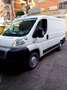Fiat Ducato 2.2 TD 74 kw passo medio Weiß - thumbnail 1