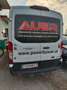 Ford Transit Kasten Trend Weiß - thumbnail 3