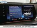 BMW X1 xDrive30e M SPORTEDITION, PREMIUMPAKET Grün - thumbnail 15