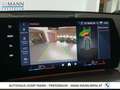 BMW X1 xDrive30e M SPORTEDITION, PREMIUMPAKET Grün - thumbnail 16