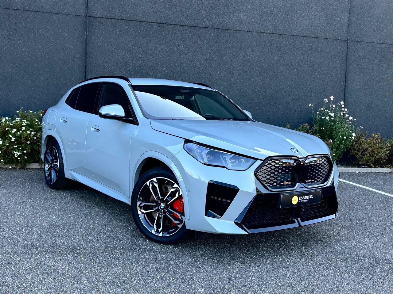 BMW iX2 66.5 kWh xDrive30 M Edition, миниатюра 3