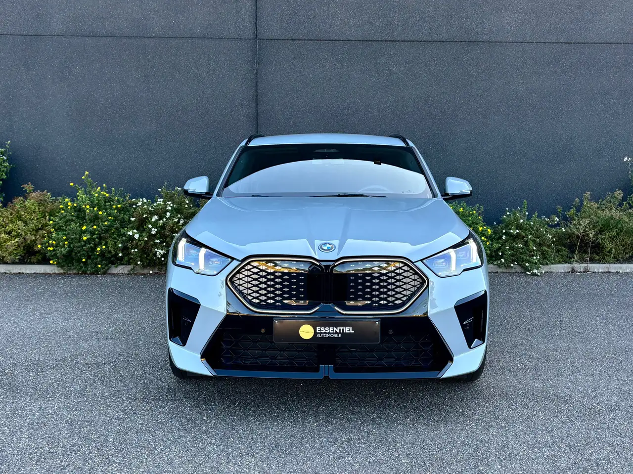 BMW iX2 66.5 kWh xDrive30 M Edition, миниатюра 2