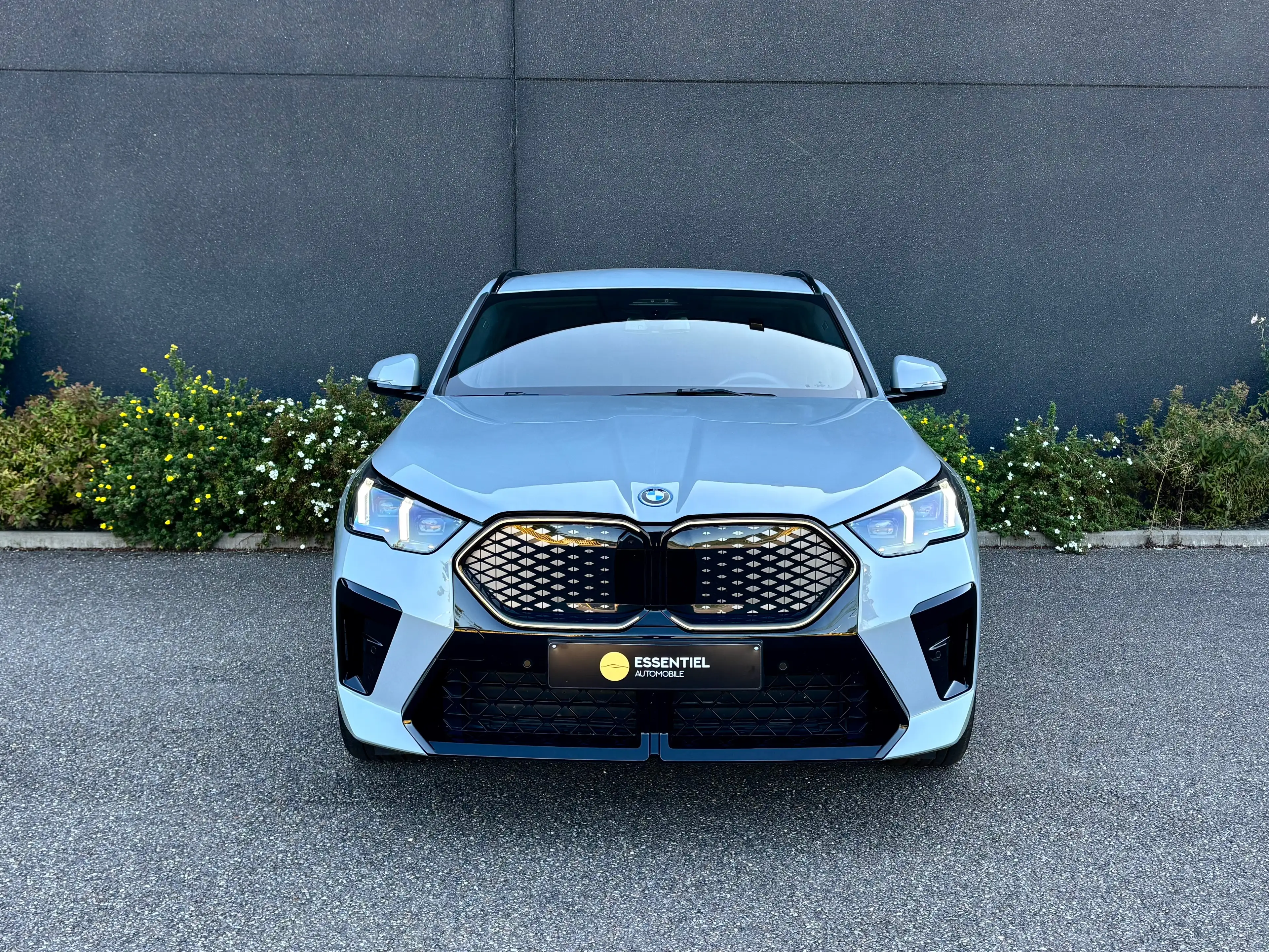 BMW iX2 66.5 kWh xDrive30 M Edition — photo 2