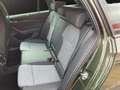 Skoda Octavia Combi 1.5 TSI mHEV DSG Sportline Verde - thumbnail 13