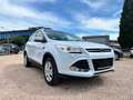 Ford Kuga Titanium INDIVIDUALL *ALLRAD*PANORAMADACH* Wit - thumbnail 3