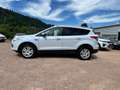 Ford Kuga Titanium INDIVIDUALL *ALLRAD*PANORAMADACH* Wit - thumbnail 5