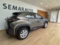 Toyota Yaris Cross 120H Business Plus Beige - thumbnail 29