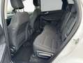 Ford Kuga 2.5 Duratec FHEV 4x4 TITANIUM Weiß - thumbnail 7