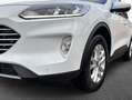 Ford Kuga 2.5 Duratec FHEV 4x4 TITANIUM Weiß - thumbnail 4