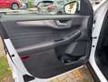 Ford Kuga 2.5 Duratec FHEV 4x4 TITANIUM Weiß - thumbnail 12