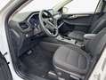Ford Kuga 2.5 Duratec FHEV 4x4 TITANIUM Weiß - thumbnail 6