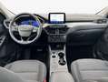Ford Kuga 2.5 Duratec FHEV 4x4 TITANIUM Weiß - thumbnail 8