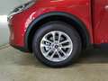 Ford Kuga 2,0 EcoBlue Hybrid Titanium Aut. Rot - thumbnail 13