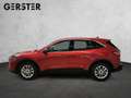 Ford Kuga 2,0 EcoBlue Hybrid Titanium Aut. Rot - thumbnail 3