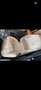 Mercedes-Benz S 560 S 560 4Matic V8 *Panorama*Burmester*Night Vision* Schwarz - thumbnail 8