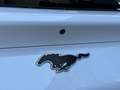 Ford Mustang Mach-E Elektro Extended Range Weiß - thumbnail 9