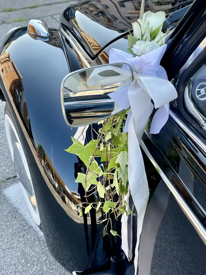 Volkswagen Maggiolino Cabrio, foto 3