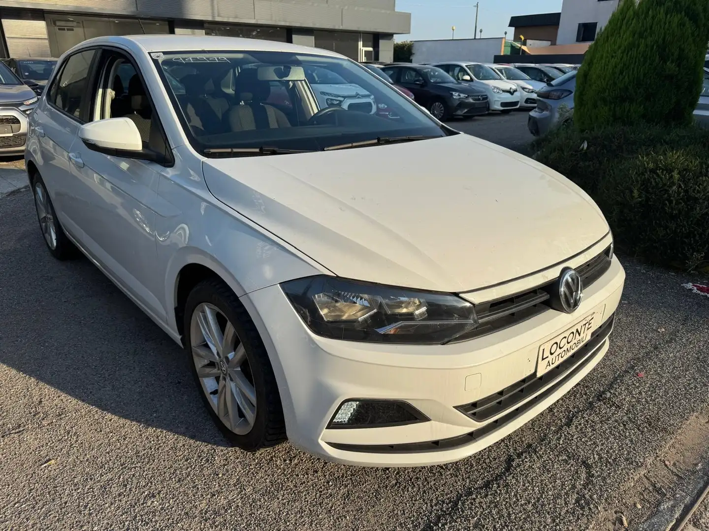 Volkswagen Polo 5p 1.0 evo Trendline Bianco - 1