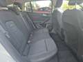 Ford Focus 1.5 EcoBlue 120 CV automatico SW Active X Beige - thumbnail 10