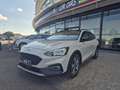 Ford Focus 1.5 EcoBlue 120 CV automatico SW Active X Beige - thumbnail 1