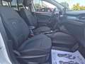 Ford Focus 1.5 EcoBlue 120 CV automatico SW Active X Beige - thumbnail 9