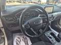 Ford Focus 1.5 EcoBlue 120 CV automatico SW Active X Beige - thumbnail 15