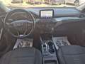 Ford Focus 1.5 EcoBlue 120 CV automatico SW Active X Beige - thumbnail 14