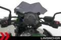 Kawasaki Z 900 SC-Project, Rizoma Grün - thumbnail 23