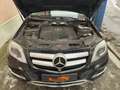 Mercedes-Benz GLK 220 CDI BlueTec 4Matic, Xenonn AHK!!! Schwarz - thumbnail 23