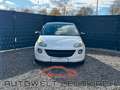 Opel Adam 1.4 Jam KLIMA MULTI SHZ PDC DACH PAKET Blanc - thumbnail 1